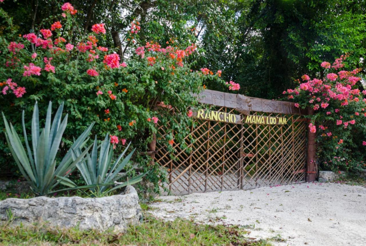 Rotamundos Mama Loomm Playa del Carmen Exterior foto