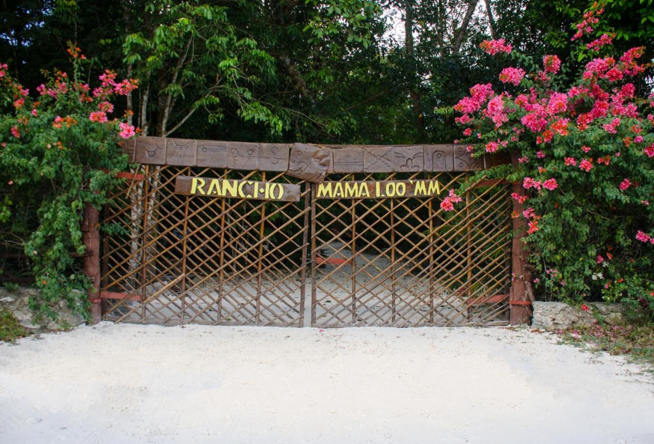 Rotamundos Mama Loomm Playa del Carmen Exterior foto
